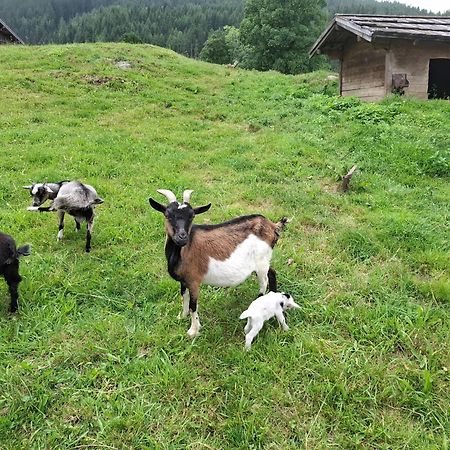 Pension Stammerhof Schladming Eksteriør billede