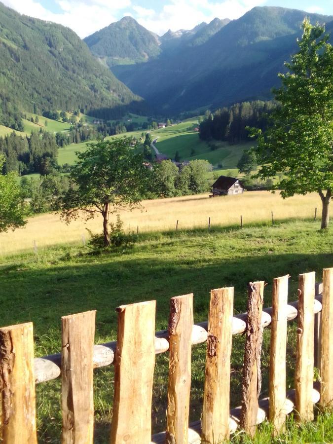Pension Stammerhof Schladming Eksteriør billede